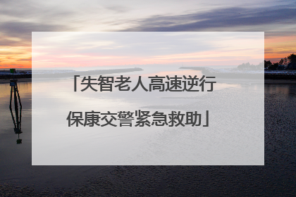 失智老人高速逆行 保康交警紧急救助